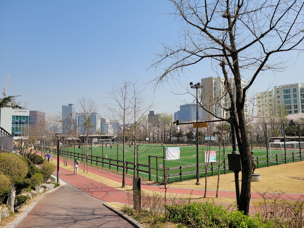 宁忠岩在采